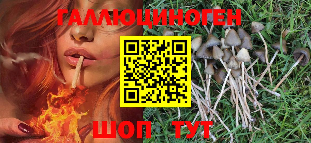 Псилоцибиновые грибы MAGIC MUSHROOMS Киселёвск