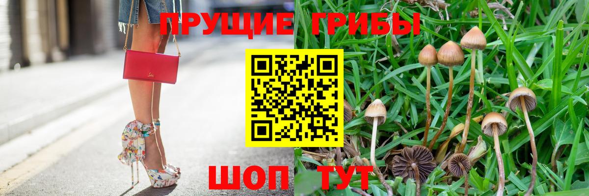 Галлюциногенные грибы MAGIC MUSHROOMS  Вход с VPN  Киселёвск 